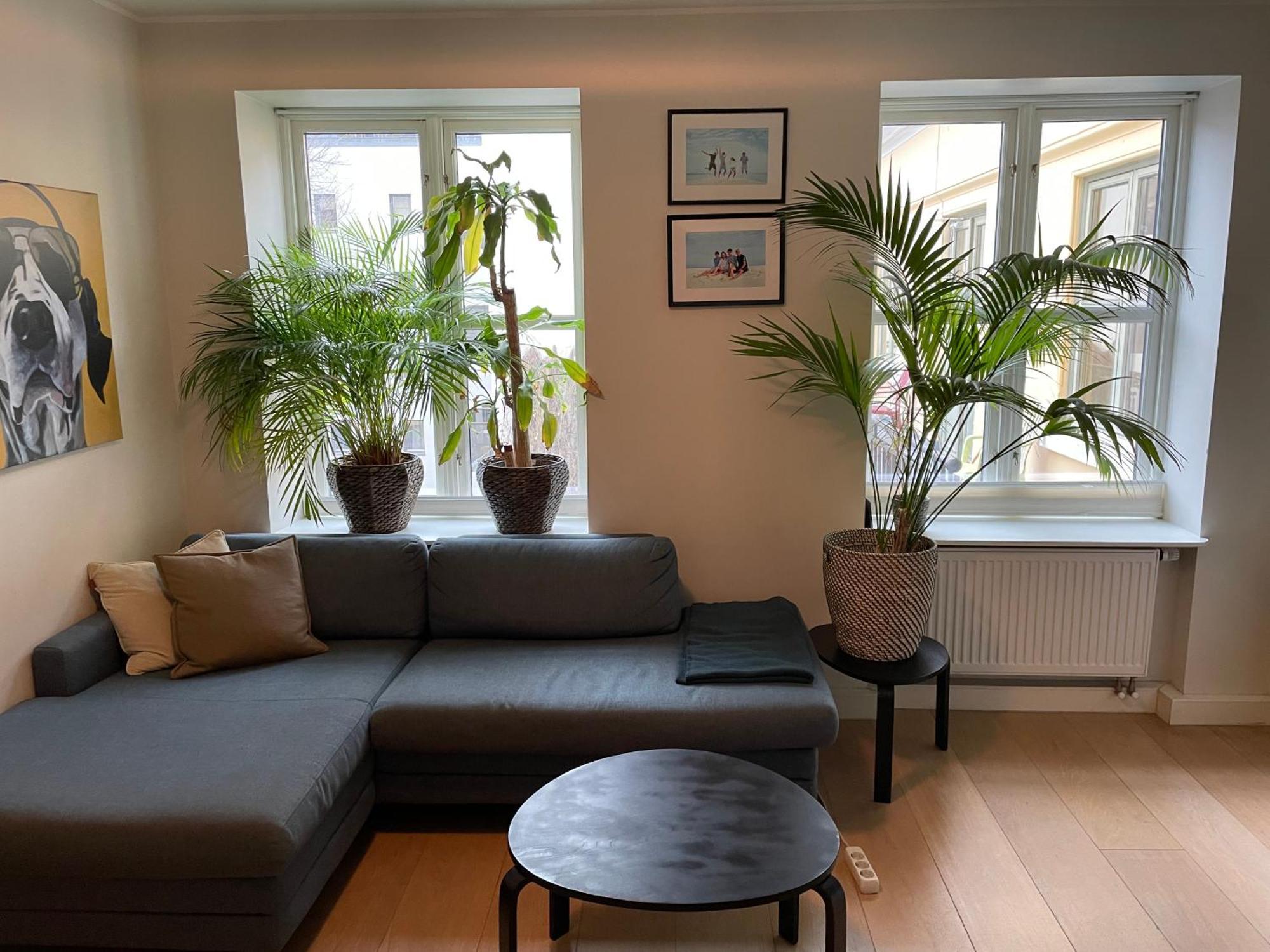 Stroken Loftleilighet Midt I Oslo. Екстер'єр фото