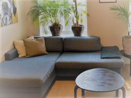 Stroken Loftleilighet Midt I Oslo. Екстер'єр фото